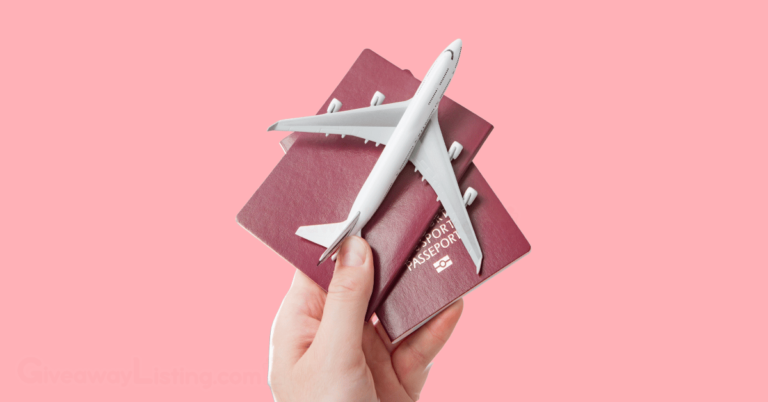 a person holding a passport and a model design of an aeroplane.