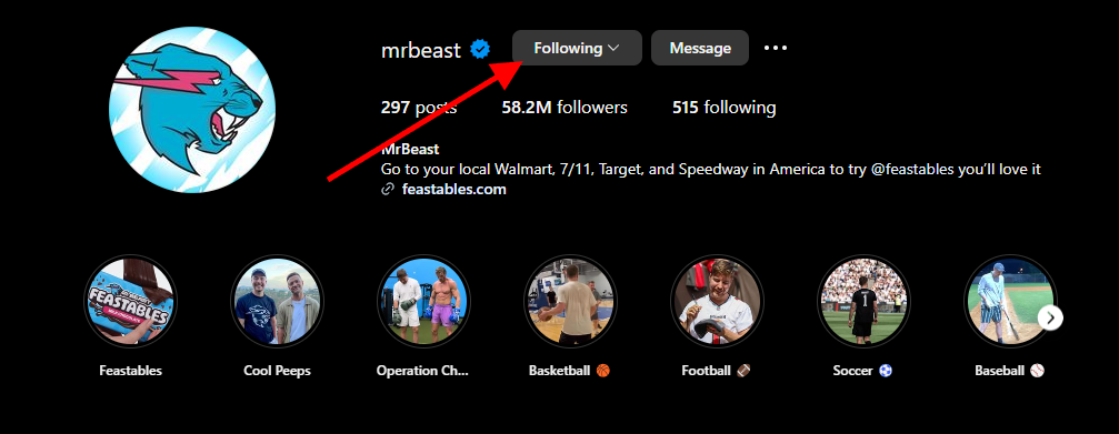 Tips on how to follow MrBeast on the official Instagram social media page