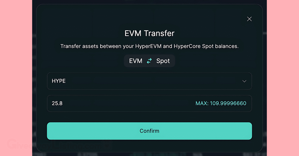 the EVM transfer interface.