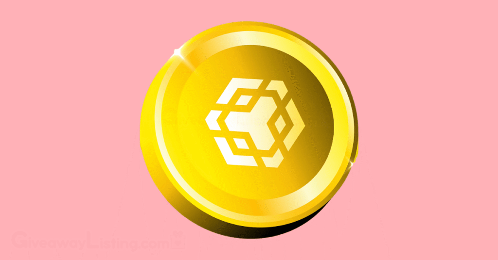 The BNB coin.