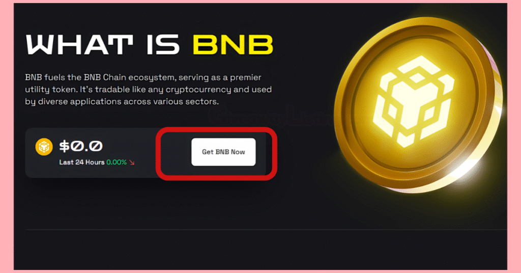 The BNB Chain website with lines showing 'What is BNB,' and a frame showing 'Get BNB Now.'