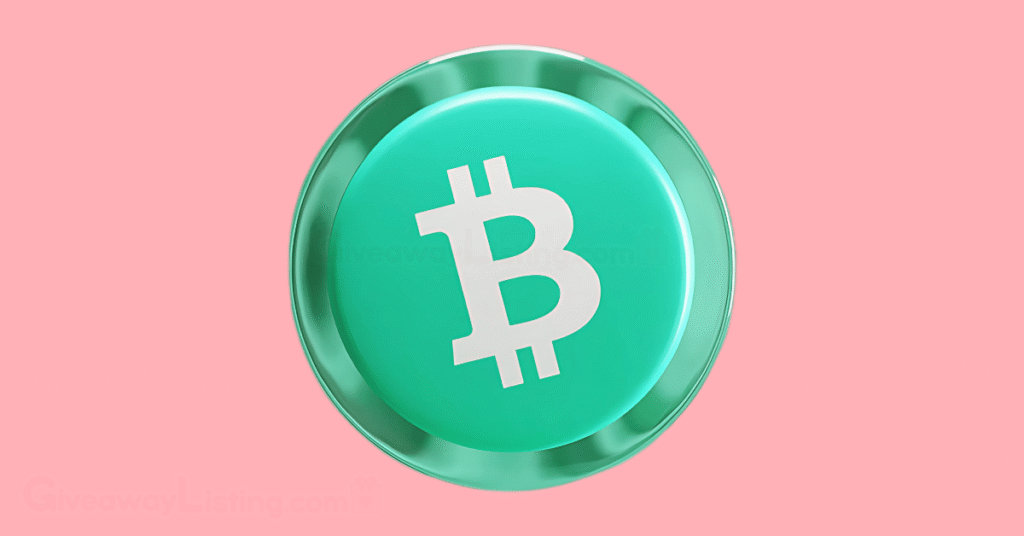 The BCH token.